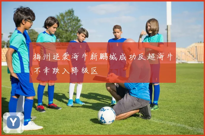 梅州逆袭海牛新鹏城成功反超海牛不幸跌入降级区