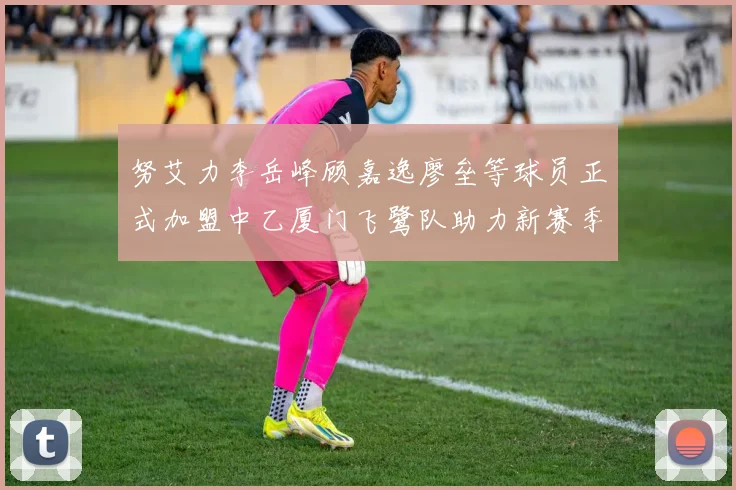 努艾力李岳峰顾嘉逸廖垒等球员正式加盟中乙厦门飞鹭队助力新赛季
