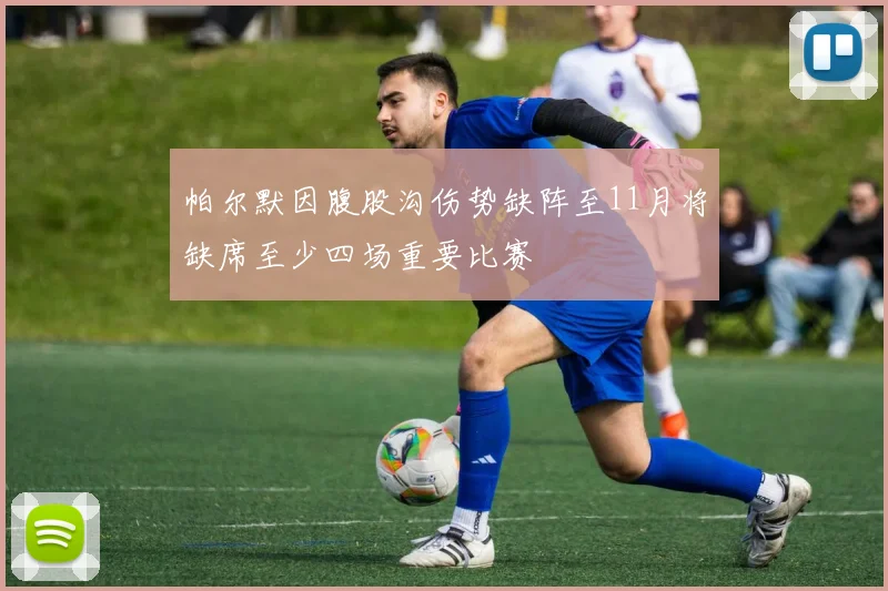 帕尔默因腹股沟伤势缺阵至11月将缺席至少四场重要比赛
