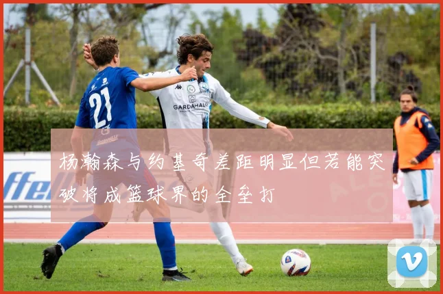 杨瀚森与约基奇差距明显但若能突破将成篮球界的全垒打