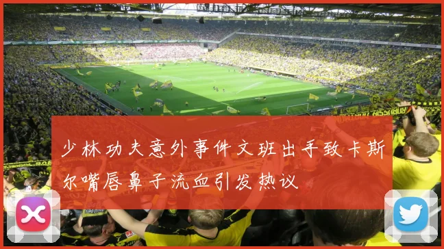 少林功夫意外事件文班出手致卡斯尔嘴唇鼻子流血引发热议